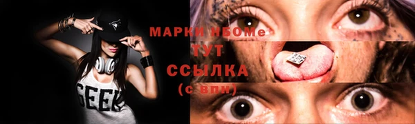 индика Алзамай
